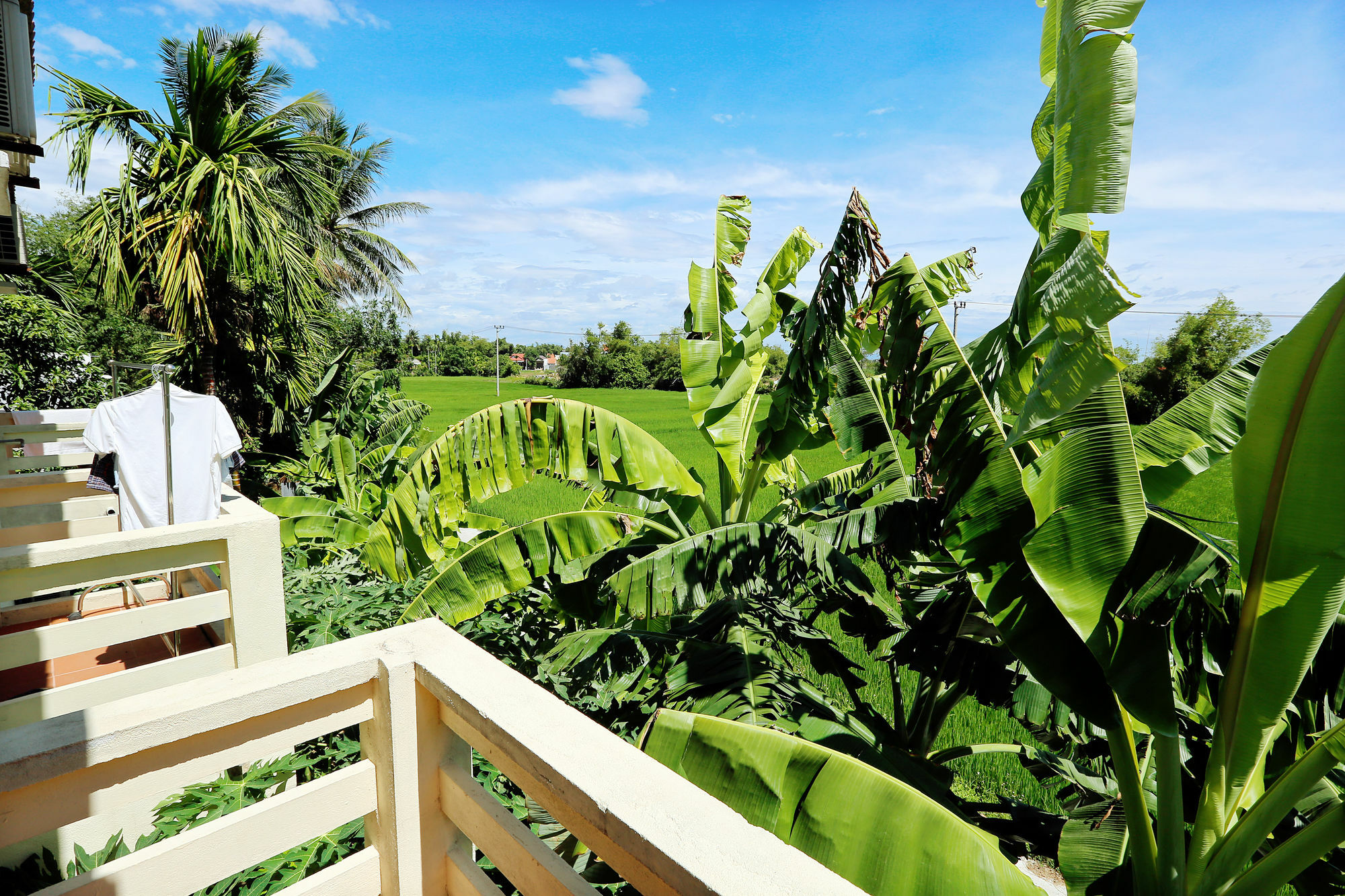 Do River Homestay Hoi An