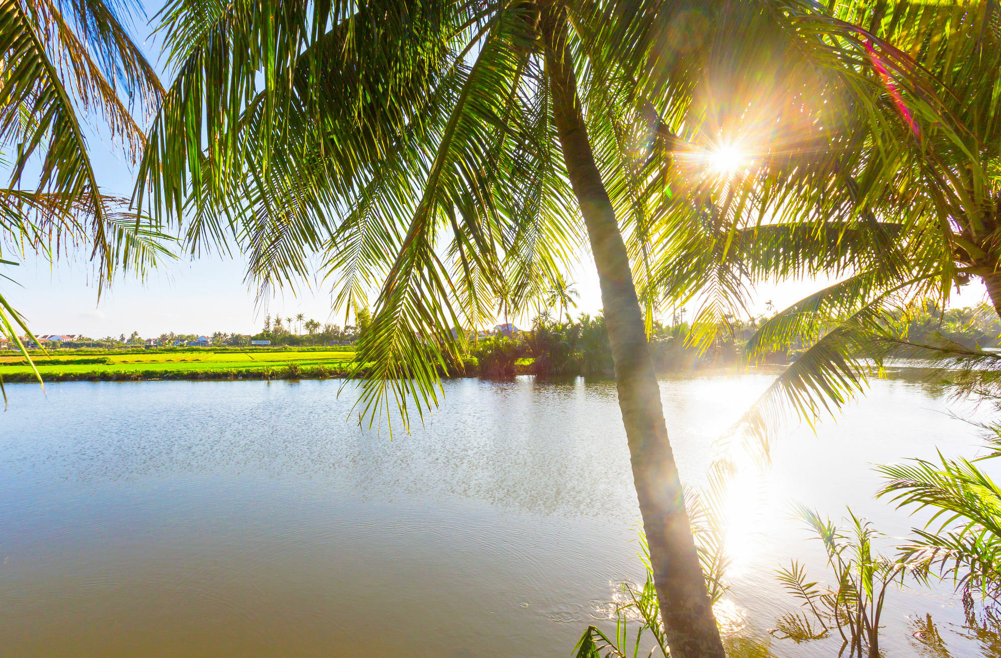 Do River * Hoi An