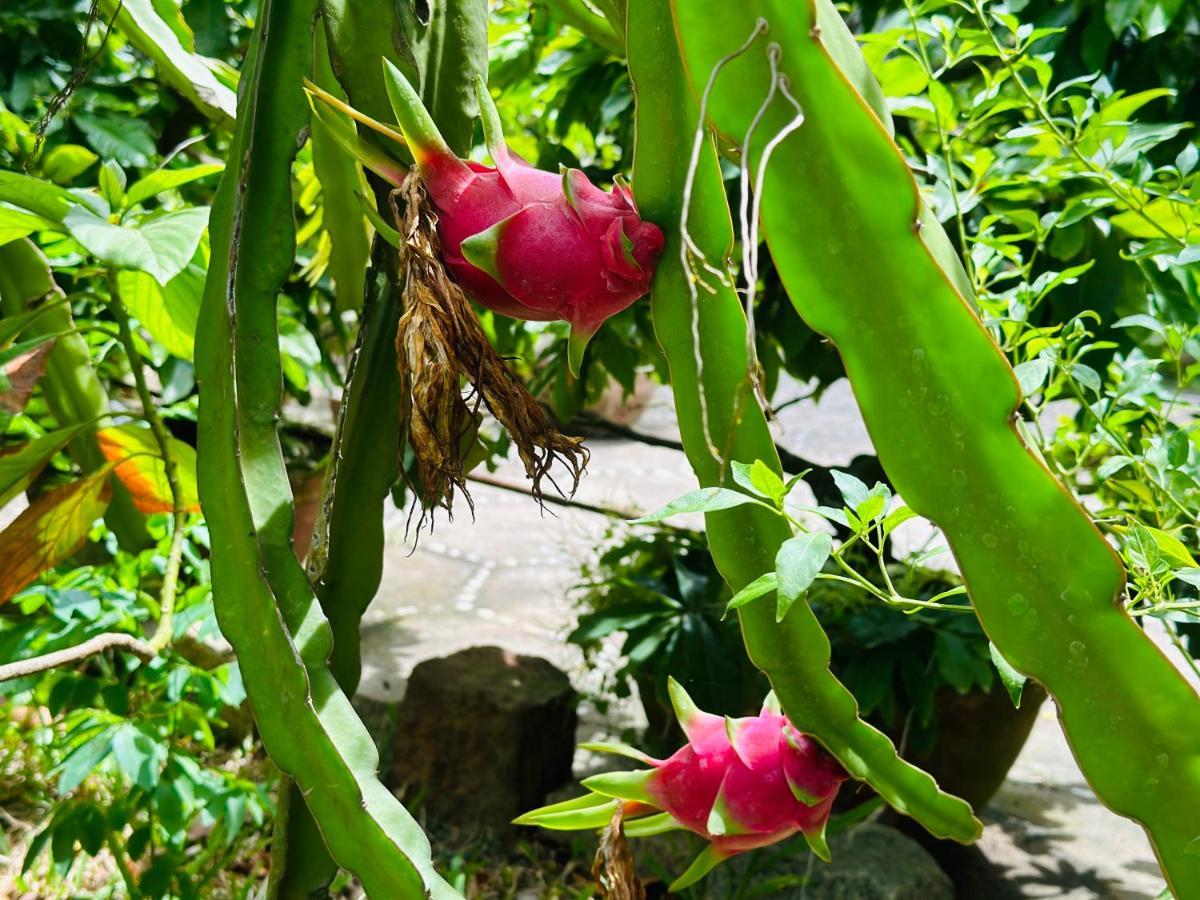 Homestay Do River