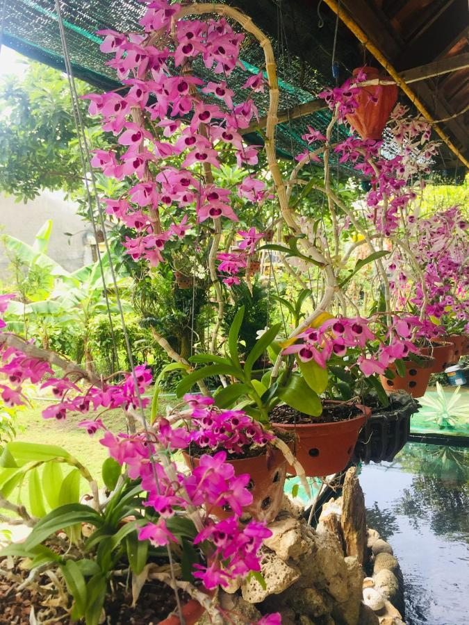 Homestay Do River