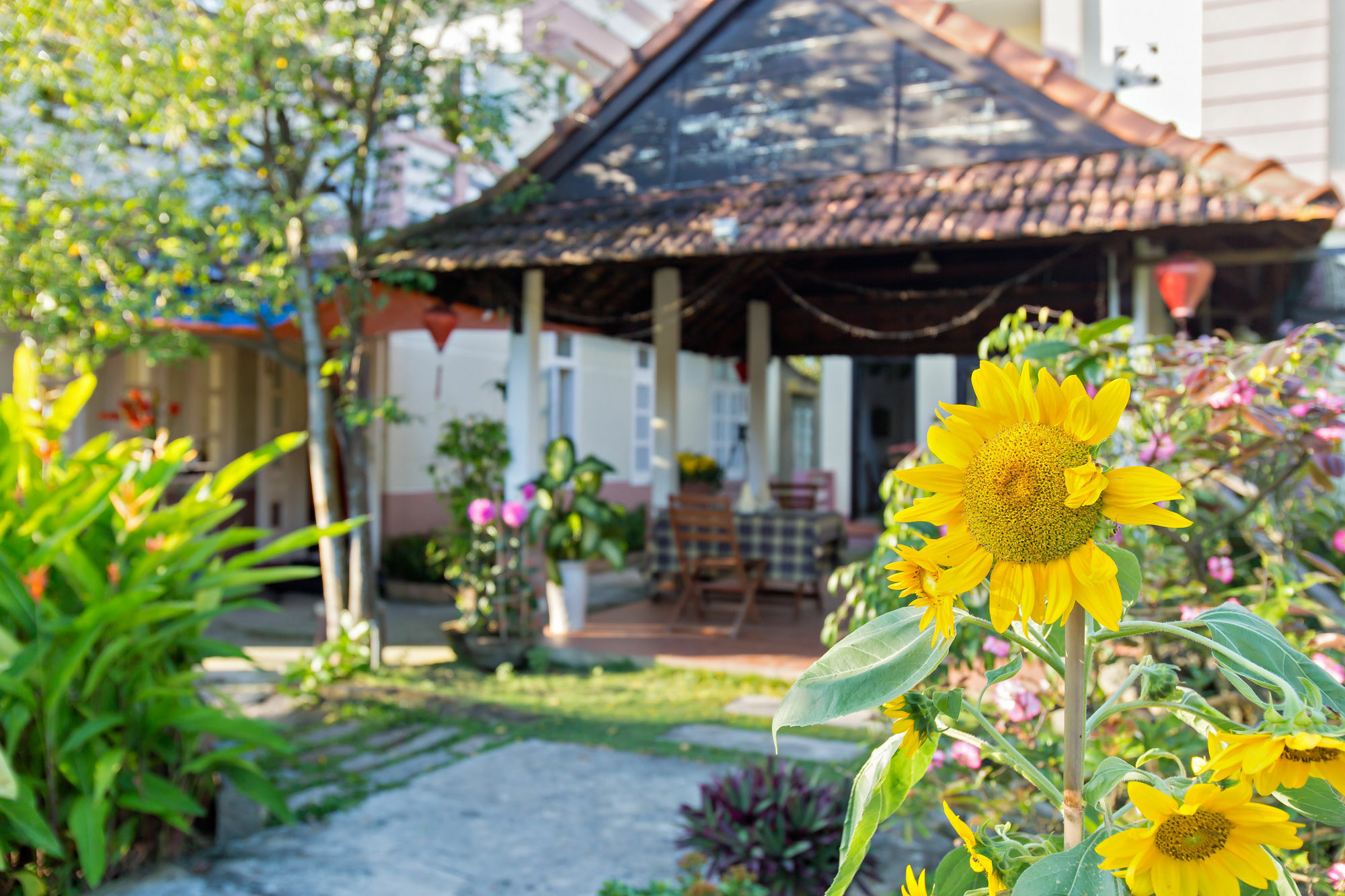 Do River Homestay Hoi An